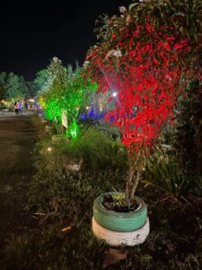 my adventure zone night campin in ananthagiri hills tress