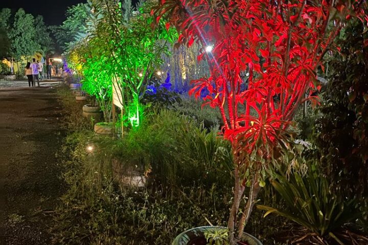 my adventure zone night campin in ananthagiri hills tress