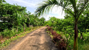 walking area my adventure zone