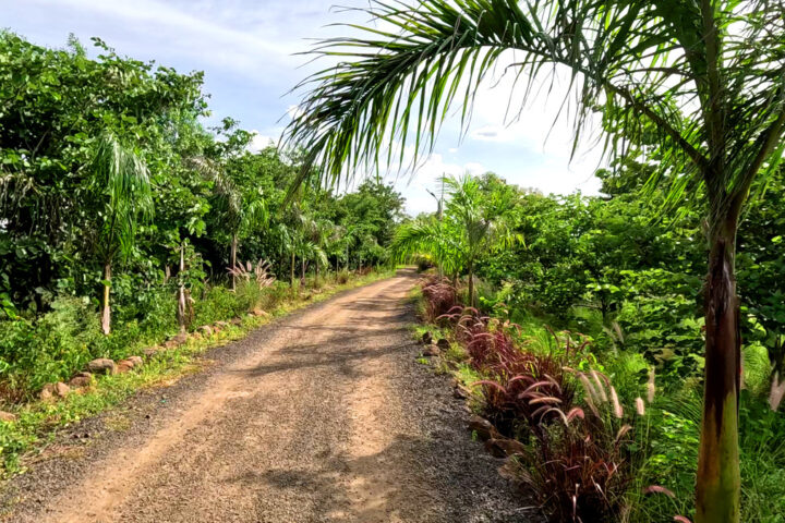 walking area my adventure zone