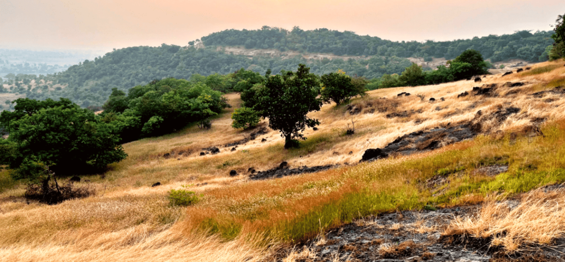 Trekking My Adventure zone