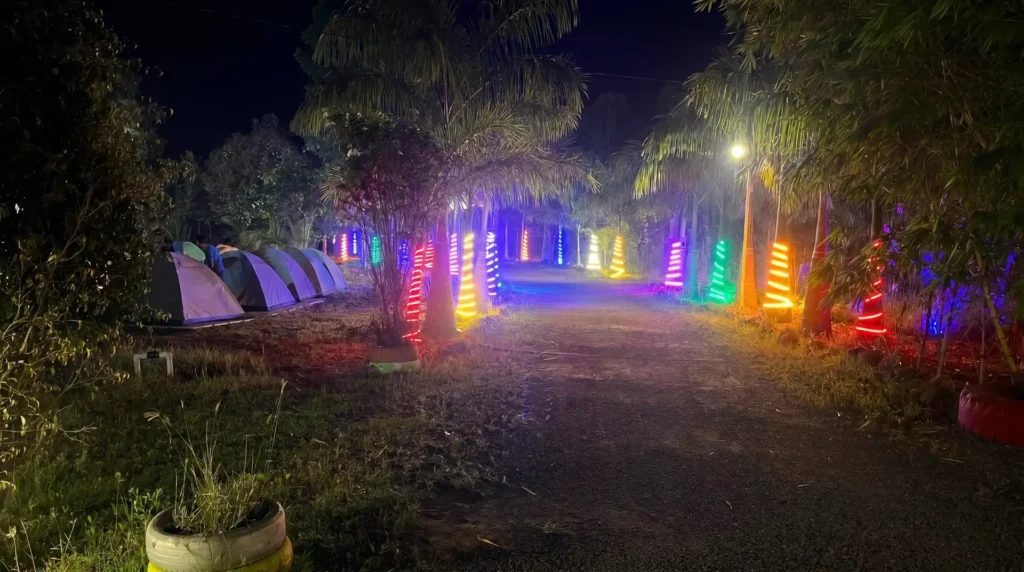 camping-area-lights-my-adventure-zone-ananthagiri-hills-camping