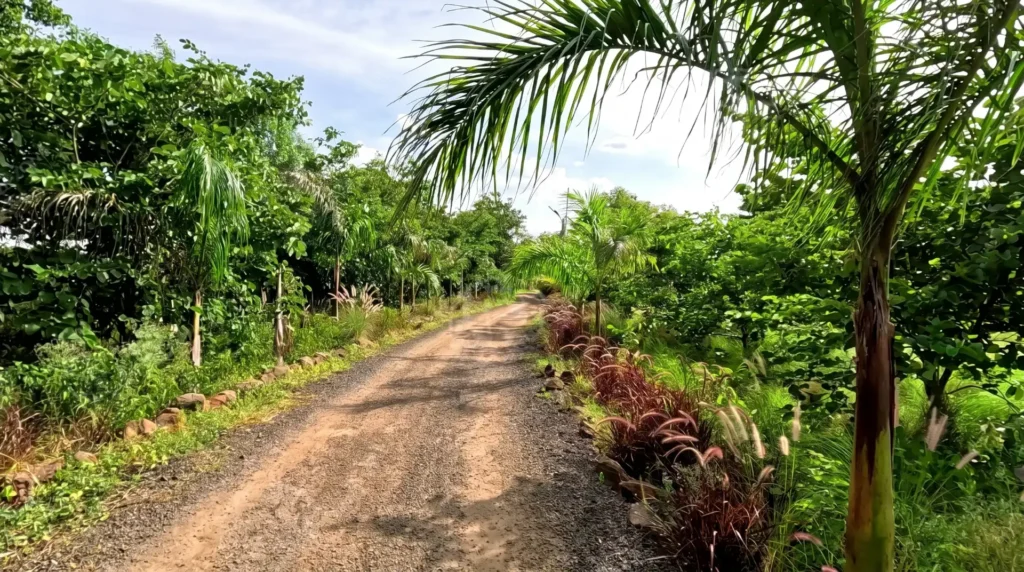 walking-area-my-adventure-zone-ananthagiri-hills-camping