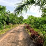 walking-area-my-adventure-zone-ananthagiri-hills-camping