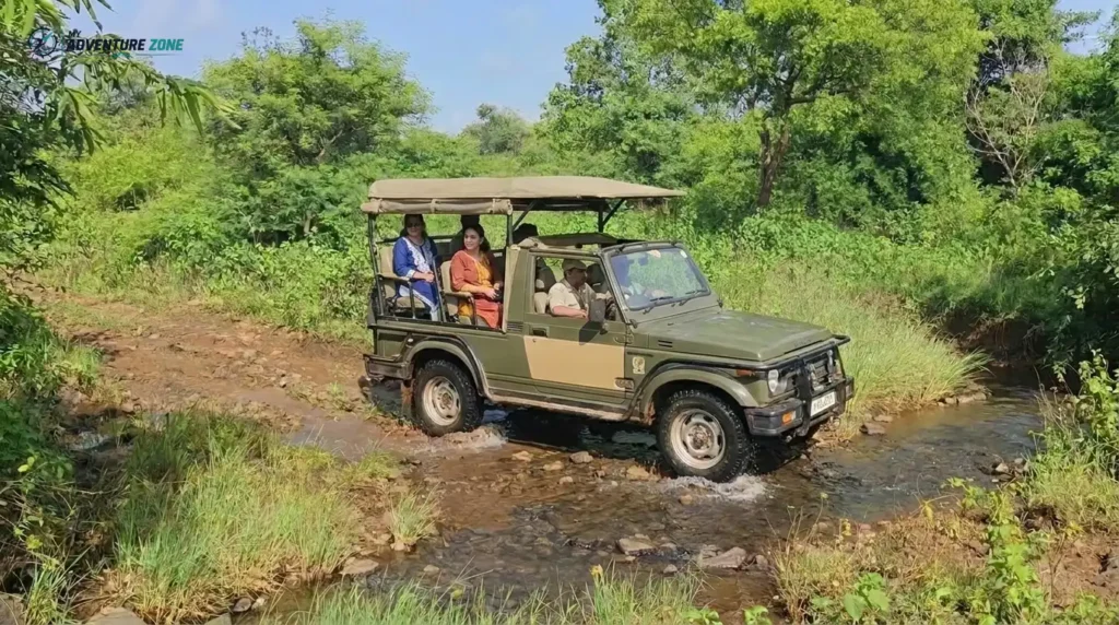 A scenic and adventurous forest drive through the dense, lush greenery of Ananthagiri Hills with My Adventure Zone.