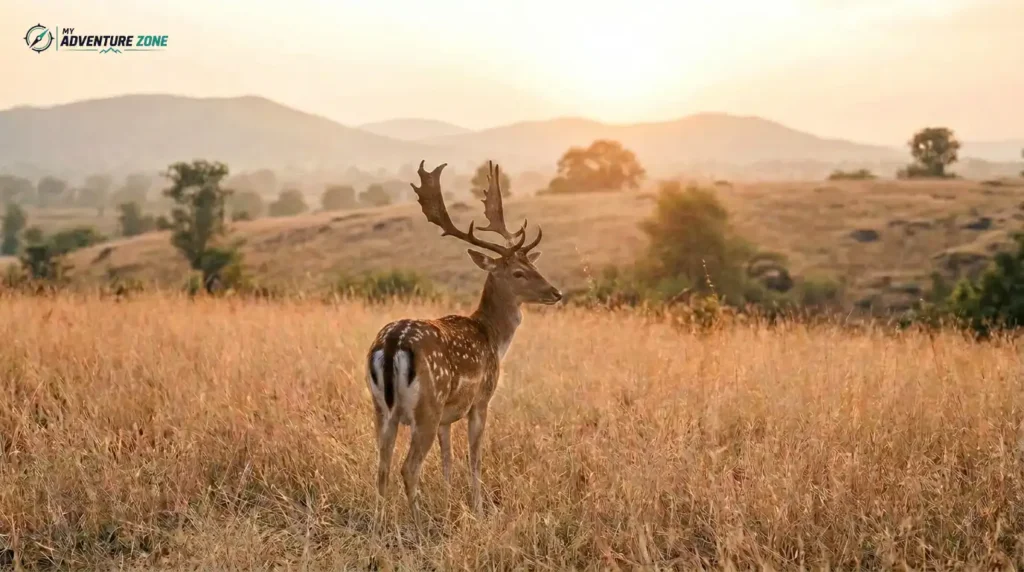 Stunning nature photography capturing the dense green forests and scenic landscapes of Ananthagiri Hills.