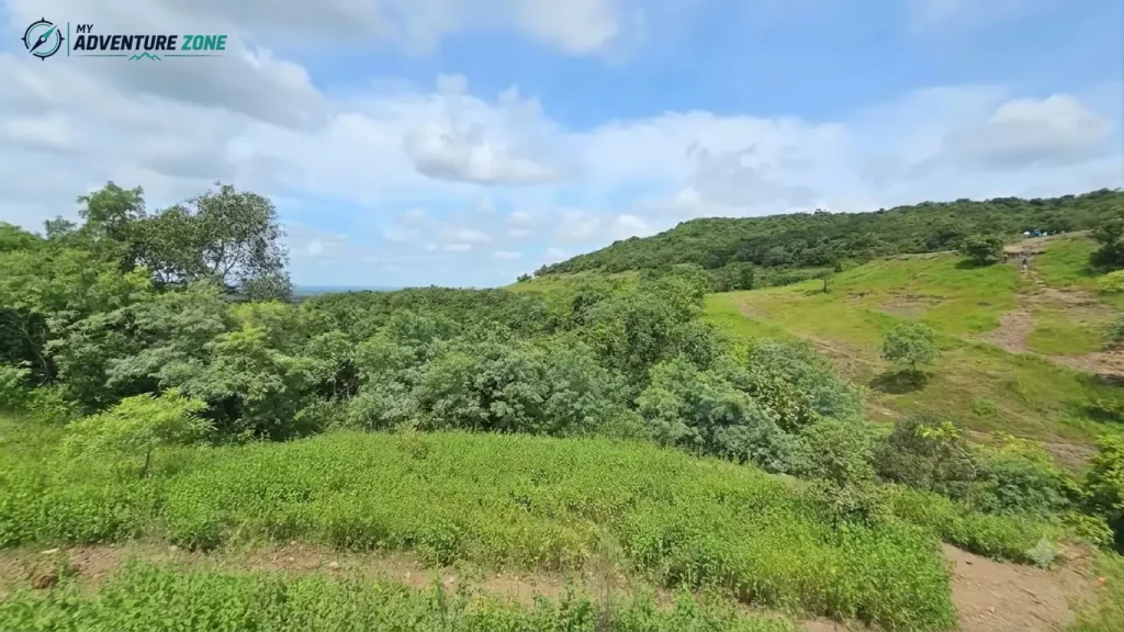 Lush green rolling hills, dense forest canopy, and hiking trails in Ananthagiri Hills Vikarabad